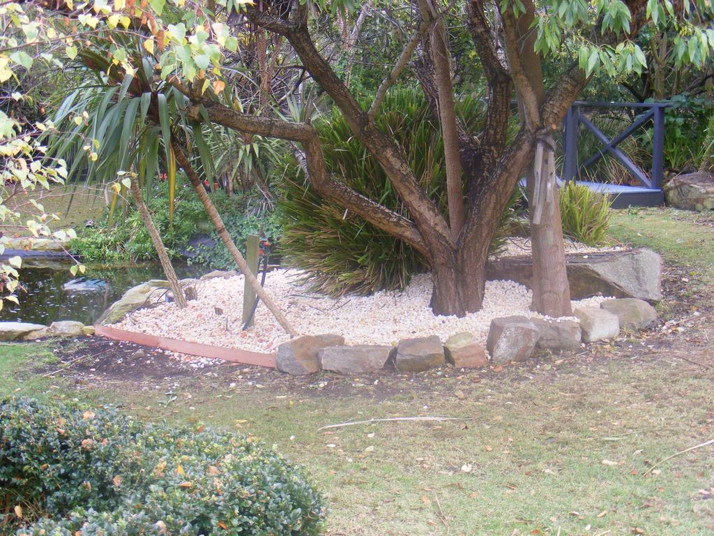 Weeroona Bed And Breakfast Rye Camera foto