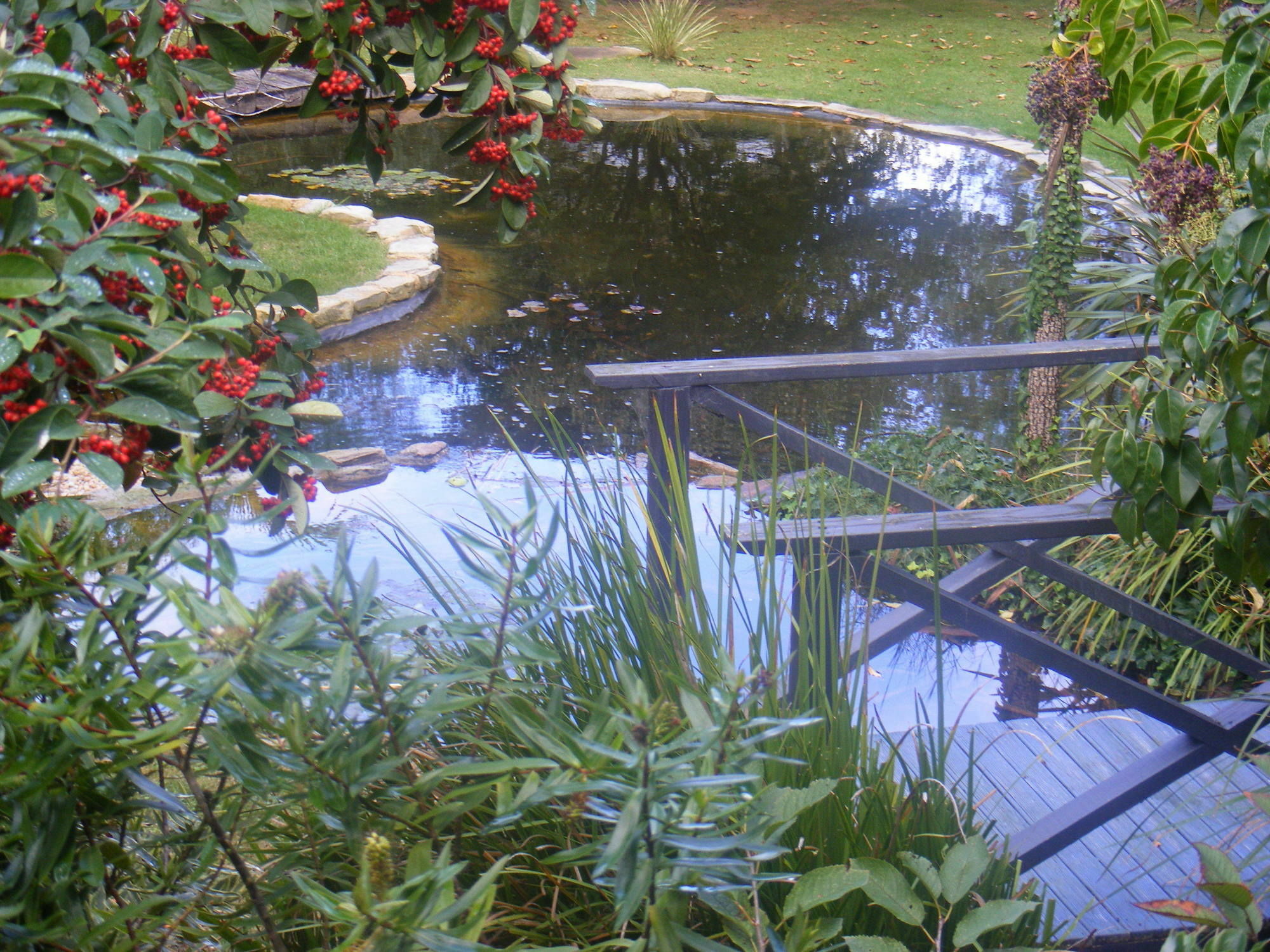 Weeroona Bed And Breakfast Rye Esterno foto