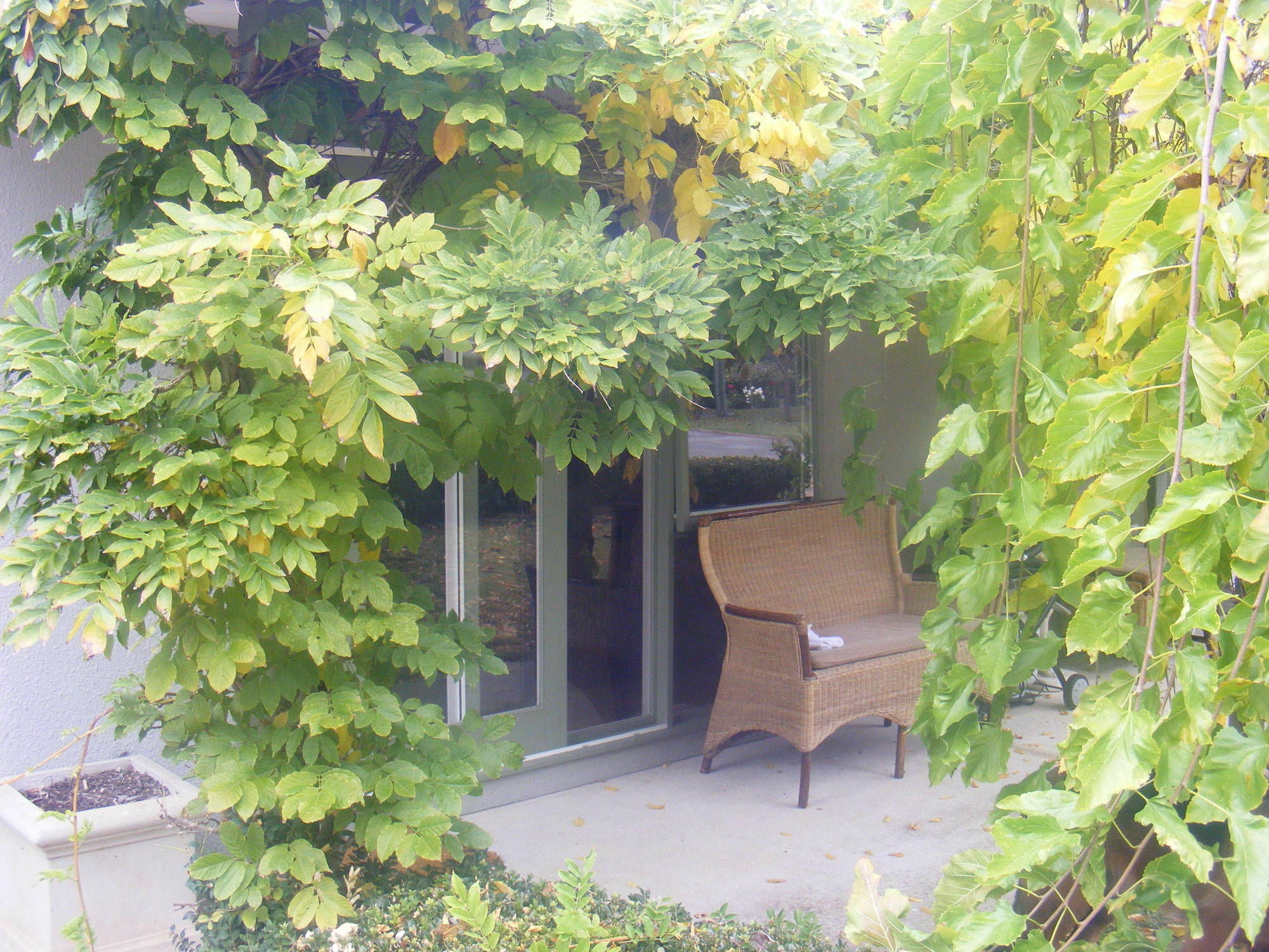 Weeroona Bed And Breakfast Rye Esterno foto