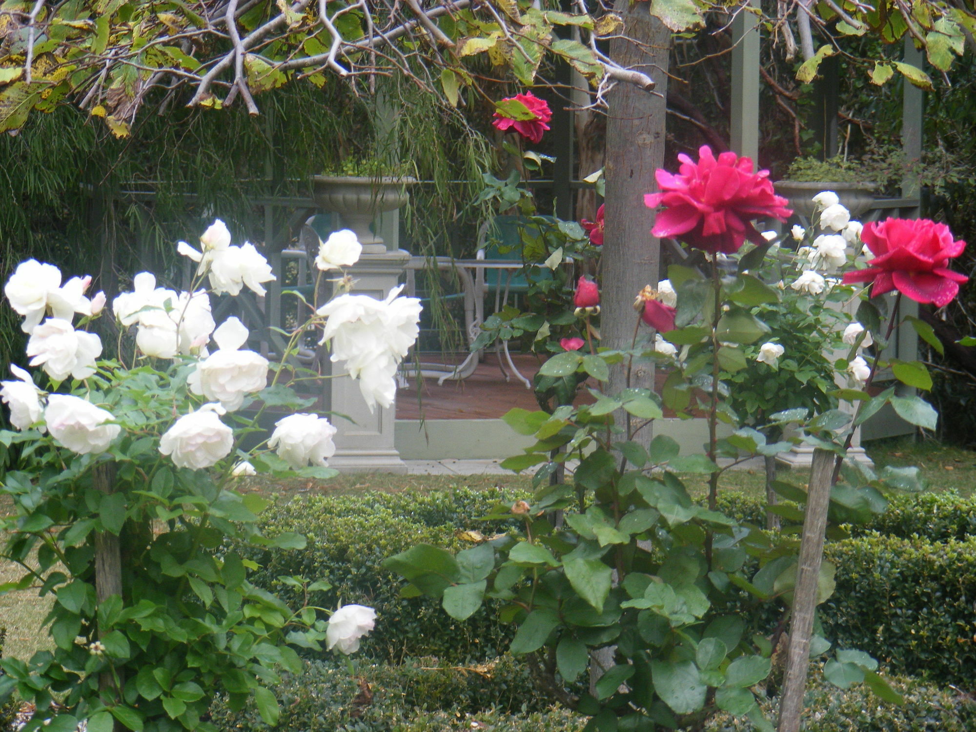 Weeroona Bed And Breakfast Rye Esterno foto